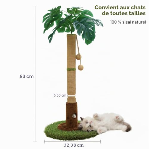 Woochpet Arbre à chat dintérieur pour chats et chatons - Arb