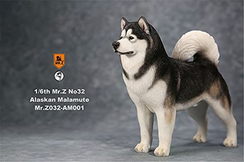 AMITD 1:6 Échelle Malamute dAlaska Chien Animal de compagnie