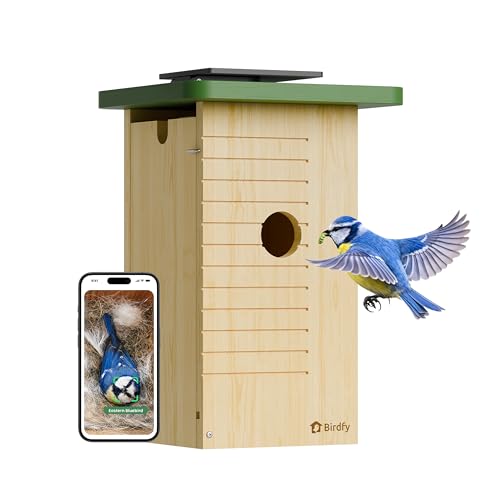 Birdfy Nichoir Oiseaux Exterieur, Camera Nichoir avec Pannea