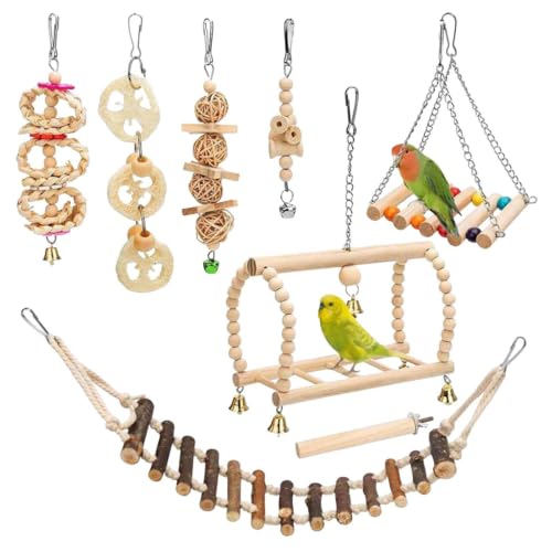 pour perroquet 8 pièces Couleurs vives
