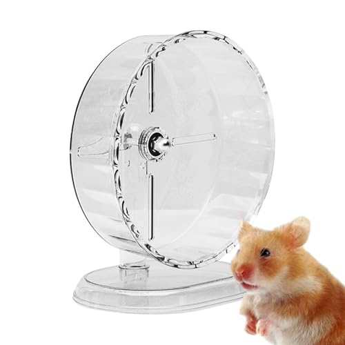 Roue de mouvement pour hamster - Activité pour les petits an