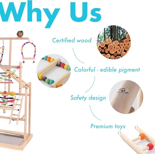 TOOSOAR Jouet Perroquet,avec Godets à Nourriture en Acier In