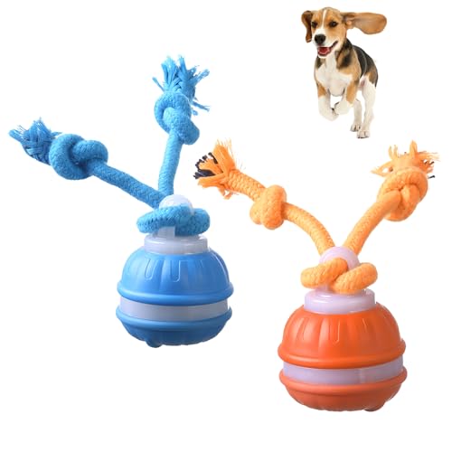 Boutique pour Chiens