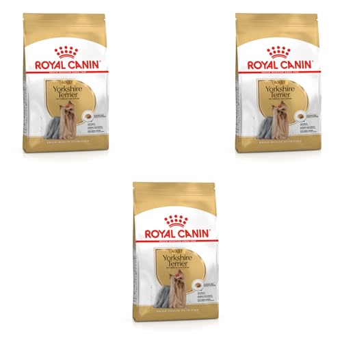 Royal Canin Yorkshire Terrier Adult | Pack de 3 | 3 x 500 g 