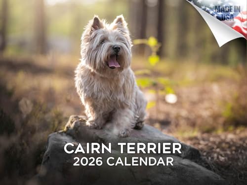 Calendrier mural mensuel 2024 2025 Cairn Terrier - 30,5 x 45,7 cm ouvert - Papier épais sans bavure - Cadeau - Calendrier de planification et planification des enseignants - Fabriqué aux États-Unis