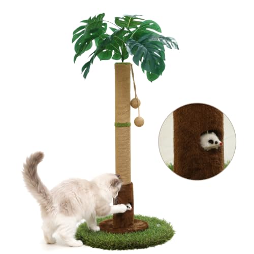 Woochpet Arbre à chat dintérieur pour chats et chatons - Arb