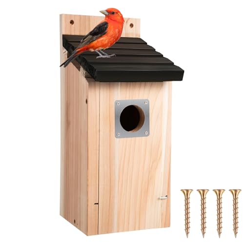 Nichoir à Oiseaux