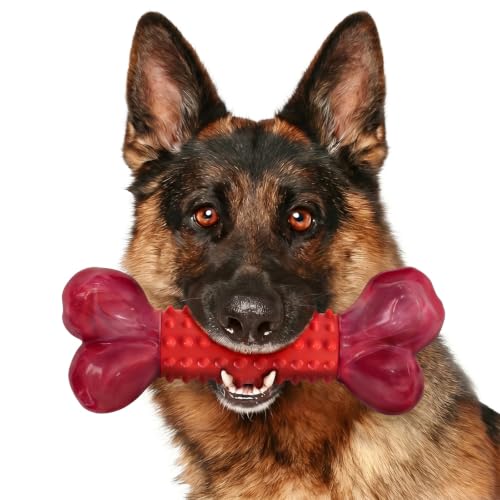 ChienBox Jouets à mâcher très résistants pour Chiens mâcheur