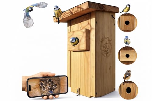 Nichoir de qualité supérieure avec caméra | Flux en direct |