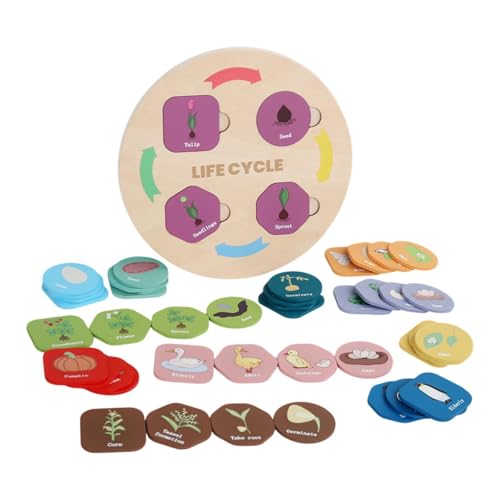DuskHaven Plateau Cycle de Vie pour Garçons et Filles de 3 à