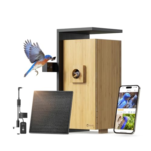 Birdfy Nichoir Oiseaux avec Double Camera pour lobservation 