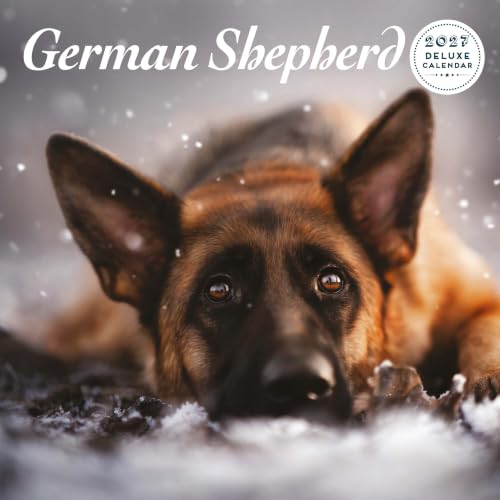 Calendrier 2027 de luxe Berger allemand