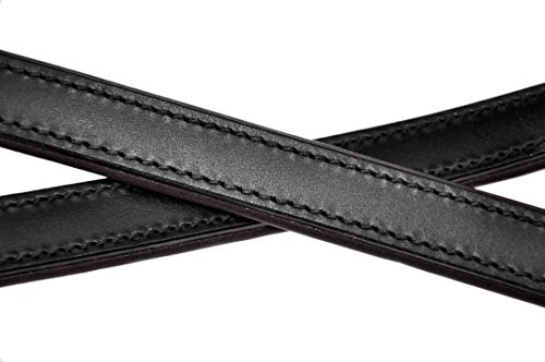 Schnüffelfreunde Laisse Chien Cuir - Laisse en Cuir Marron p