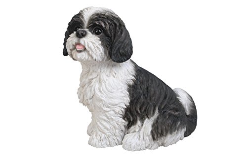 Vivid Arts XRL-SZ16-B Ornement en résine, Chien Shih Tzu Ass
