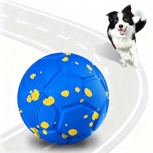 Boutique pour Chiens