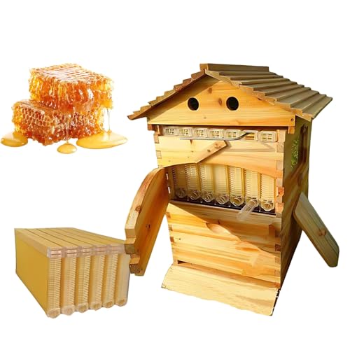 Ruche à Récolte automatique Kit Complet pour Ruche avec Cadr