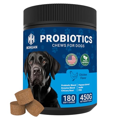 Compléments probiotiques chien, digestion, prébiotiques, enz