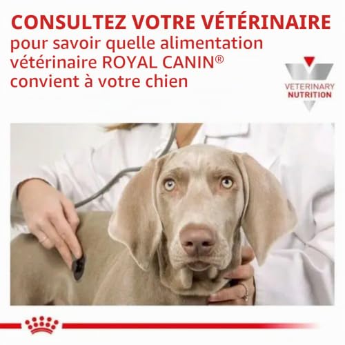 Royal Canin Veterinary HYPOALLERGENIC | 2 kg | Aliment compl