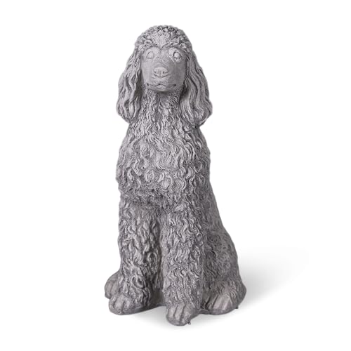 gartendekoparadies.de Stolzer Caniche aux boucles luxuriante