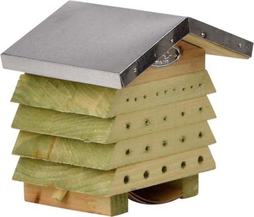 Ruche à Abeilles Fallen Fruits