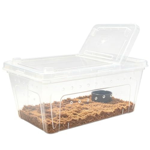 Habitat dalimentation ventilé transparent pour lézard