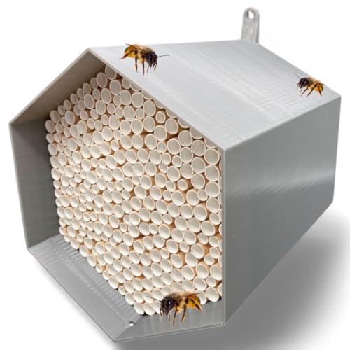 Nichoir pour abeilles sauvages - absolument durable et résis