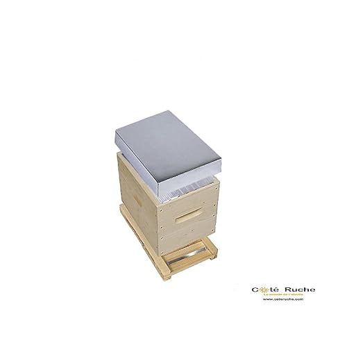 Ruchette Dadant 6 Cadres Fond Plastique