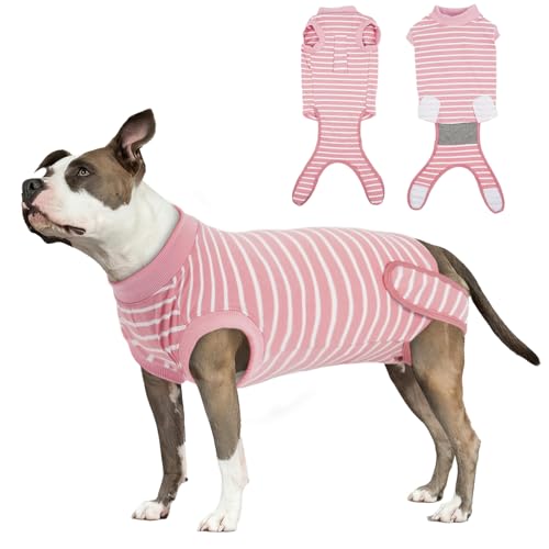 Hjumarayan Body Chien Post Operatoire Femelle - Body Chien C