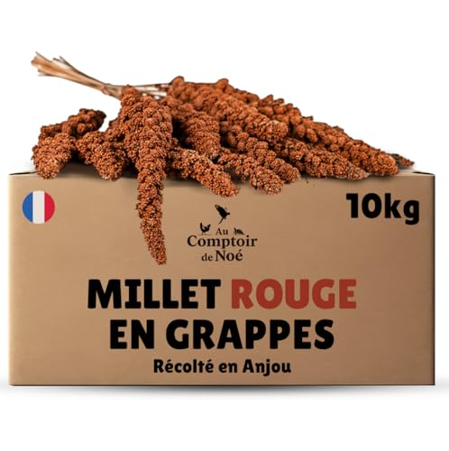 Au Comptoir de Noé Millet Rouge en Grappes 10kg, Alimentatio