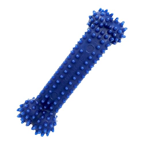 Jouets dentaires pour chien