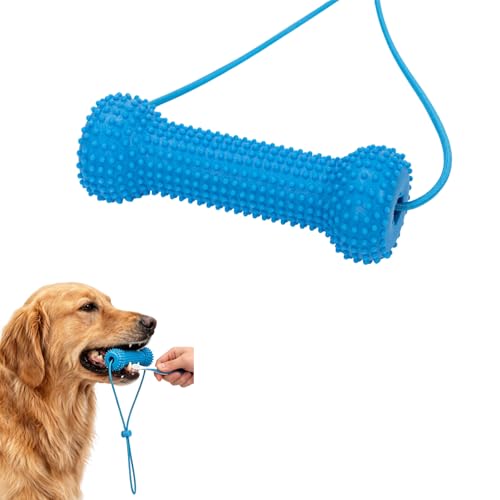 Jouets dentaires pour chien