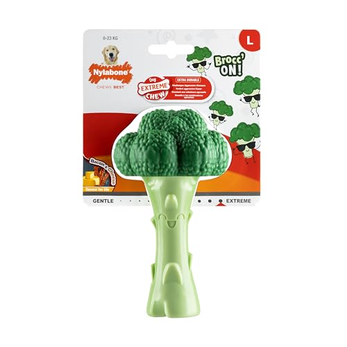 Jouet à mâcher durable pour chiens