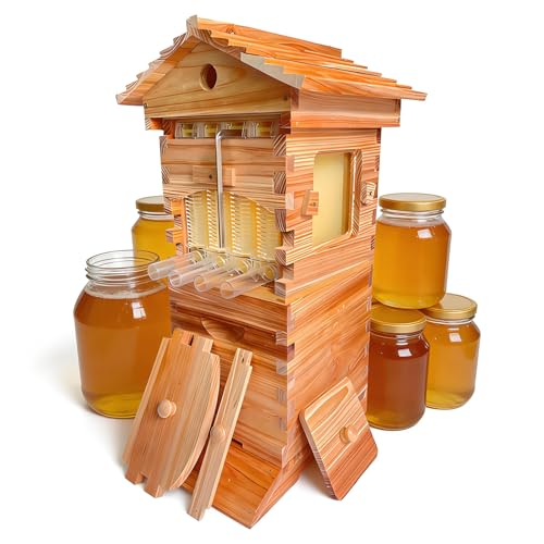 DNEPEI Kit de démarrage apicole Flow Hive, kit Complet avec 