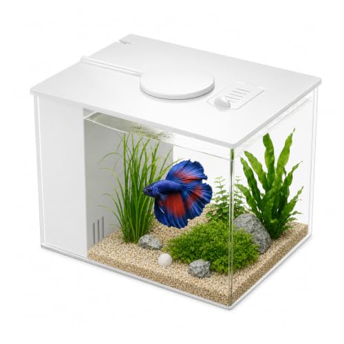 Kit complet daquarium de 3,7 L, petit aquarium de table, nan