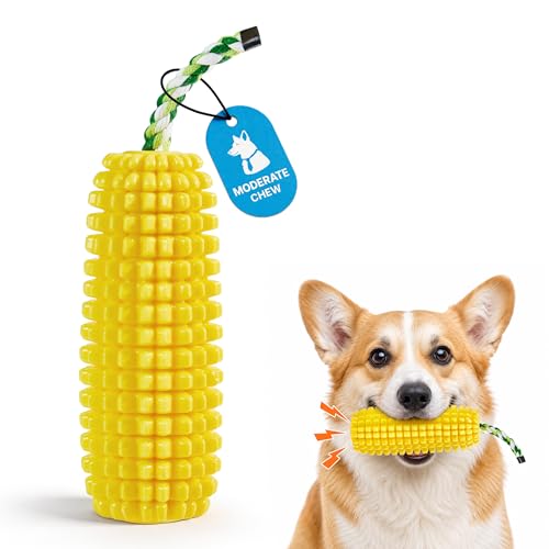 Jouets dentaires pour chien