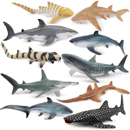 TOYMANY Lot de 10 figurines danimaux de requin de 10 à 17 cm