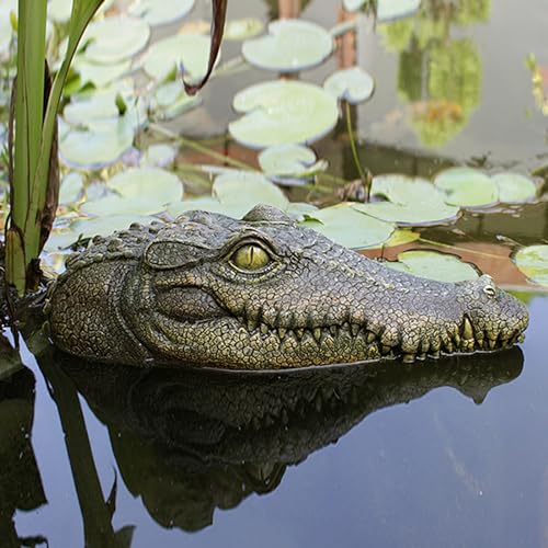 Makamsui Tête de crocodile flottante pour étang - Tête de cr