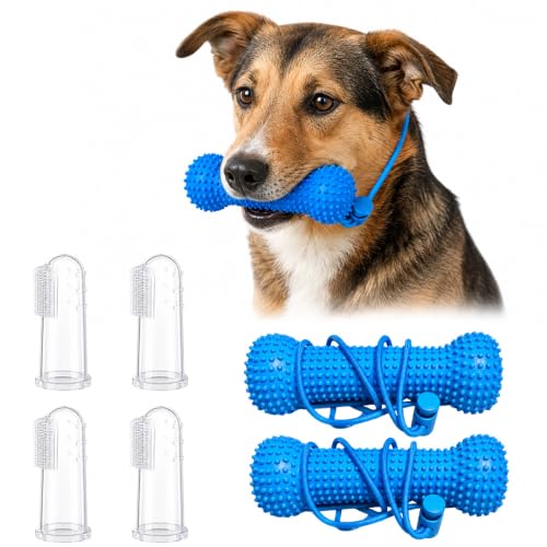 Jouets dentaires pour chien
