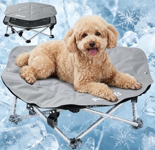 Pecute Lit Chien Sureleve, Panier Chien Pliable et Portable,