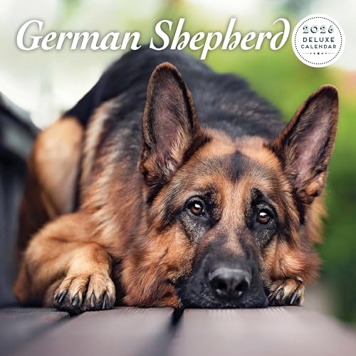 Calendrier 2026 de luxe Berger allemand