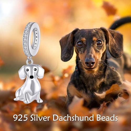 DAYLINLOVE Breloque teckel S925 en argent sterling 925 perle
