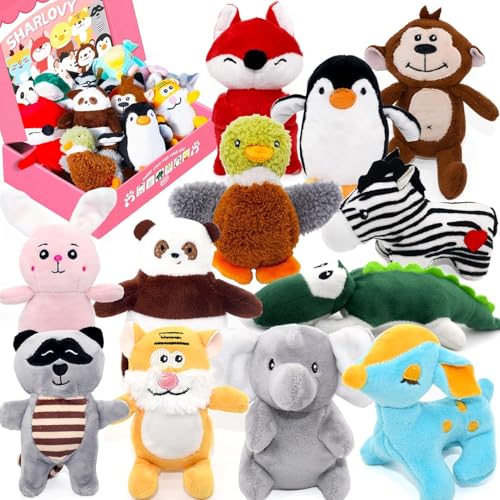 Boutique pour Chiens
