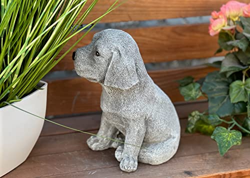 stoneandstyle Figurine en pierre Beagle Chiot résistant au g