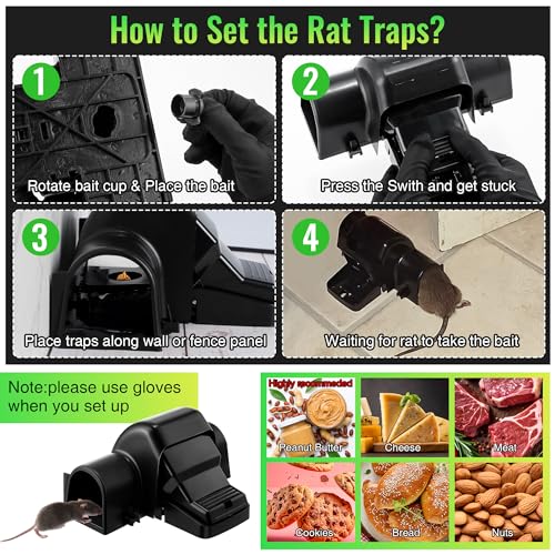 Dreyoo Pièges à Rats Qui tuent instantanément, pièges à Rats