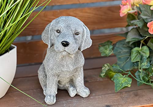stoneandstyle Figurine en pierre Beagle Chiot résistant au g