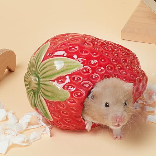 Deapeey Cachette en céramique pour hamster nain fraise, hams