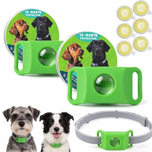 Kanivora - Kanivora Collier Protégez Votre Chien des Puces, 