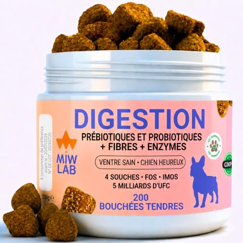 Prébiotiques et Probiotiques pour Chiens Digestion 200 Pièce