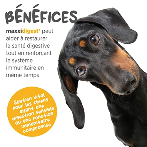 maxxidigest+ Probiotiques Enzymes Prébiotiques Soutien Diges