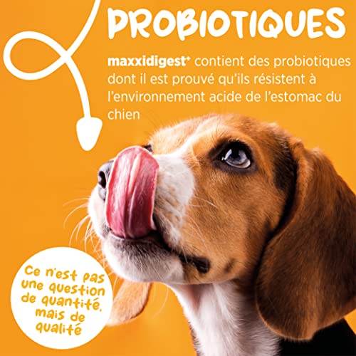 maxxidigest+ Probiotiques Enzymes Prébiotiques Soutien Diges